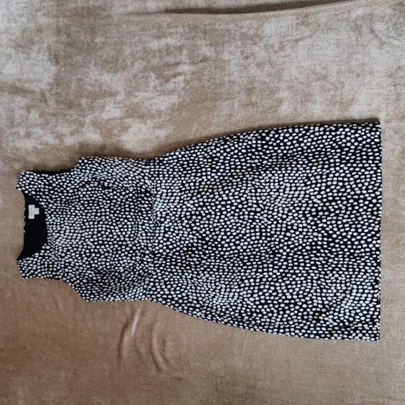 J.Crew Navy White Oncilla Animal Sheath Dress - Size 4 - Picture 4 of 14